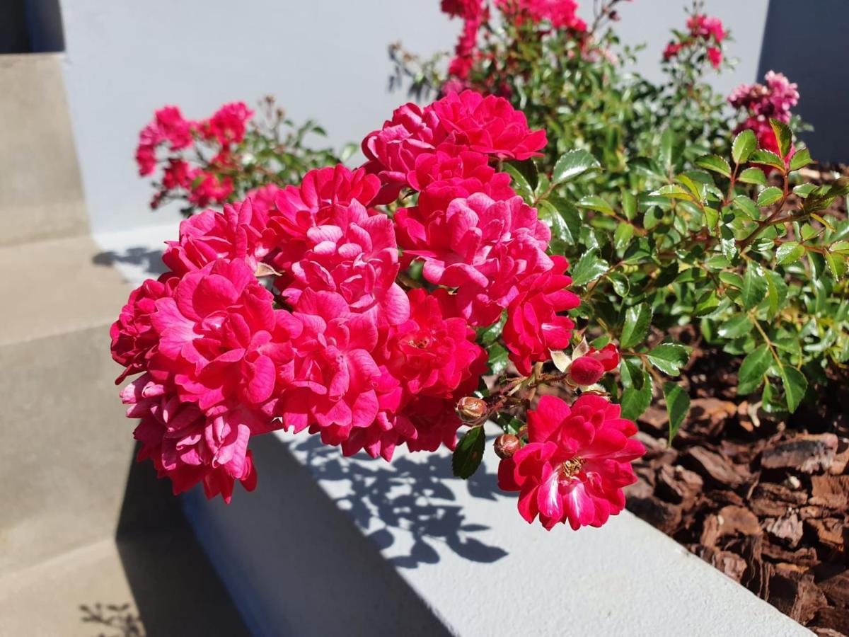 Casa Atlantico Dachterrassengeschoss Appartement Ribeira Brava Buitenkant foto
